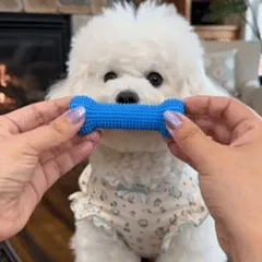 Dog tug of war dental stick