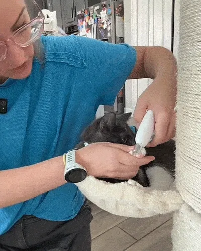 Pet nail clipper features