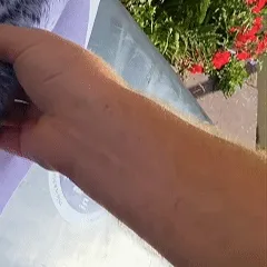 Easy Peel and Stick Installation